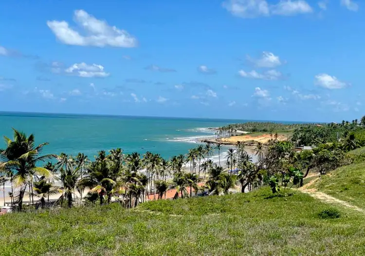 🌴 Lagoinha Combo - Foto 4