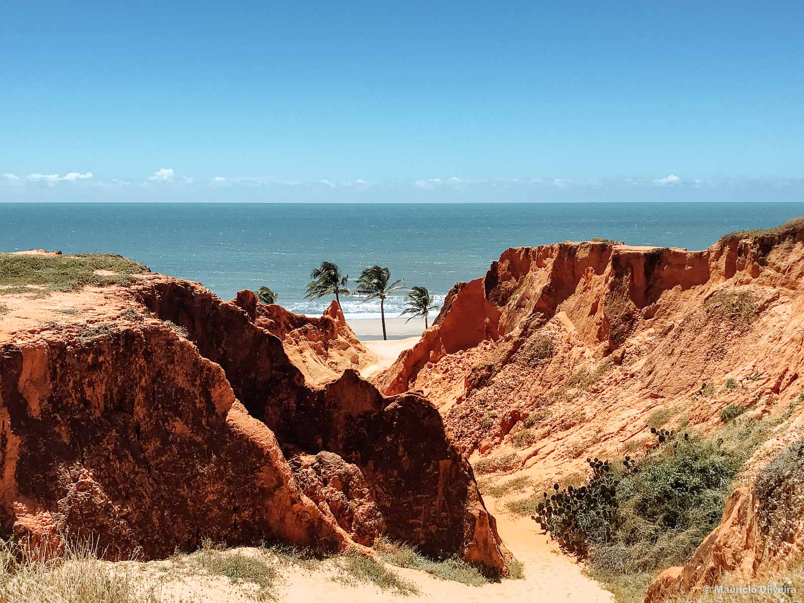 🌴 3 Praias com Buggy (Morro Branco, Praia das Fontes e Canoa Quebrada)